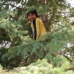 Alaskan Child in Tree